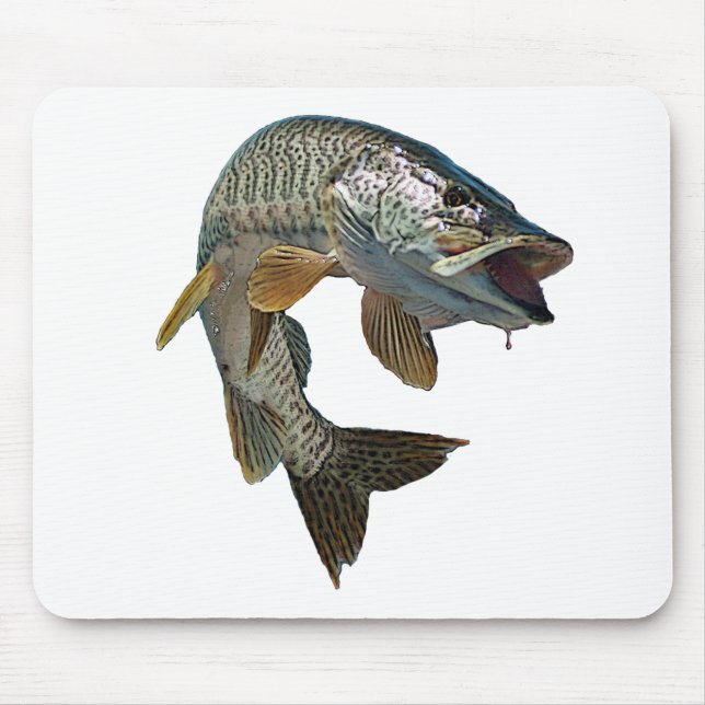 Musky 4 musmatta (Framsidan)