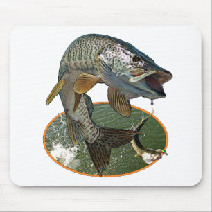 Musky 6 musmatta