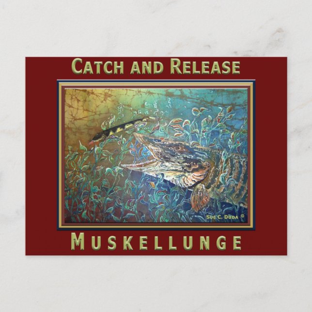 MUSKY C och R Vykort (Framsida)