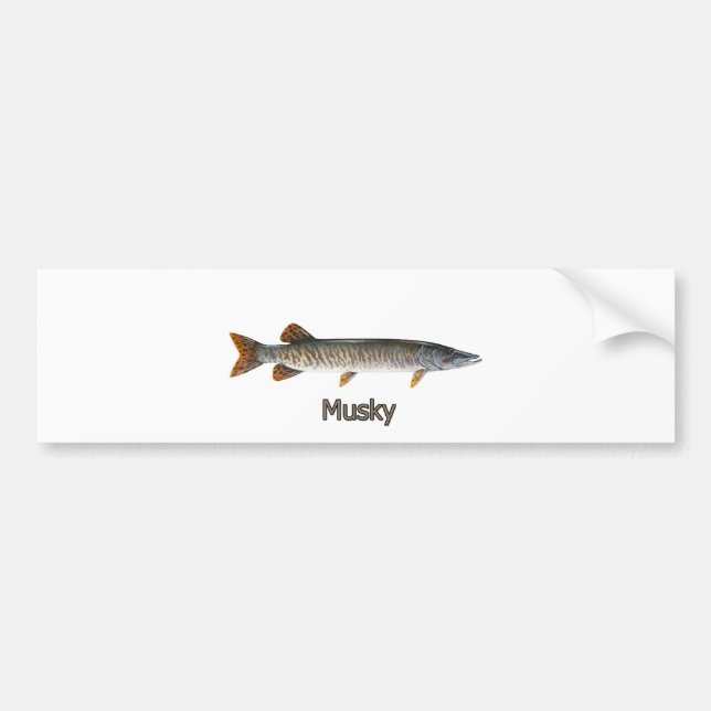 Musky-logotyp (med namn) bildekal (Framsidan)