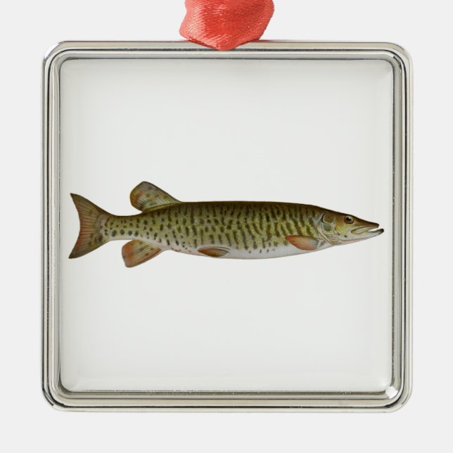 Musky (muskellunge) julgransprydnad metall (Framsidan)