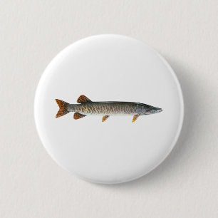 Musky - Muskellunge Knapp