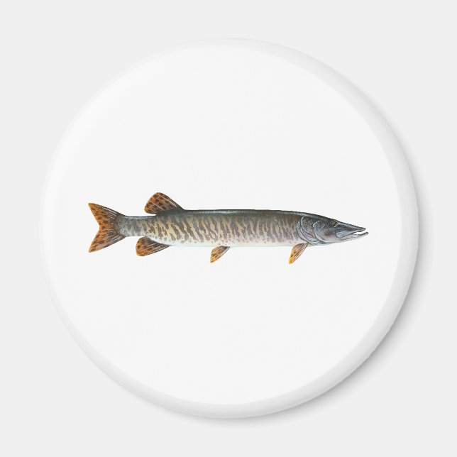 Musky - Muskellunge Magnet (Framsidan)
