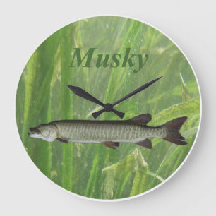 Musky ta tid på stor klocka