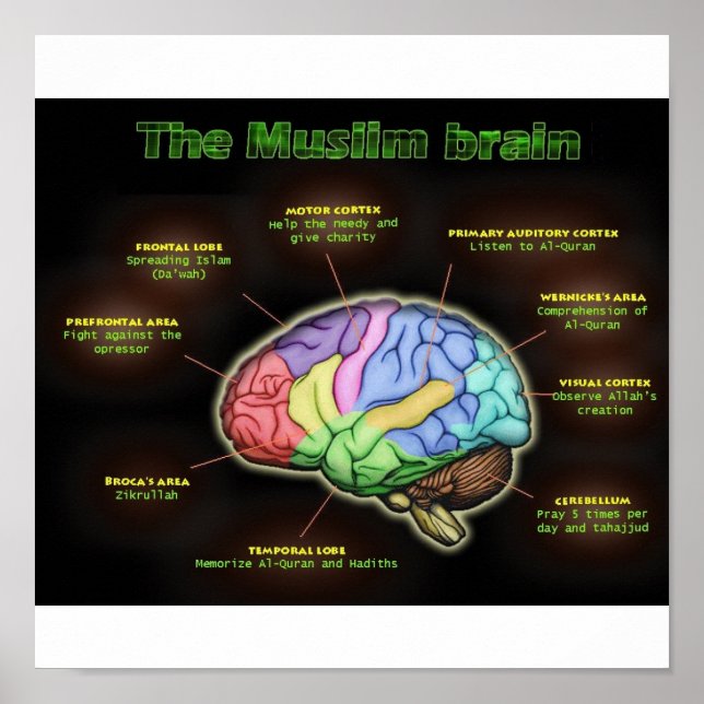 MUSLIM BRAIN Poster (Framsidan)