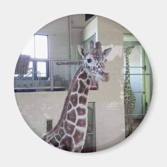 Musmagnet nr 2 magnet (Framsidan)