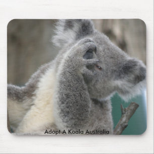 Musmatt Adopt A Koala Australien Tass Musmatta
