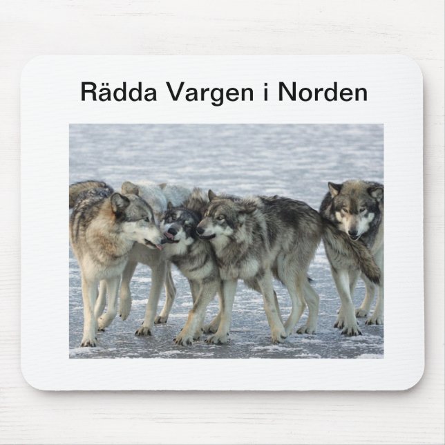 Musmatta (Framsidan)