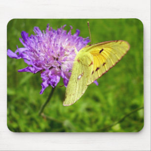 Musmatta för molnbaserad Gult Butterfly
