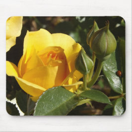 Musmatta med gul ros och ladybug