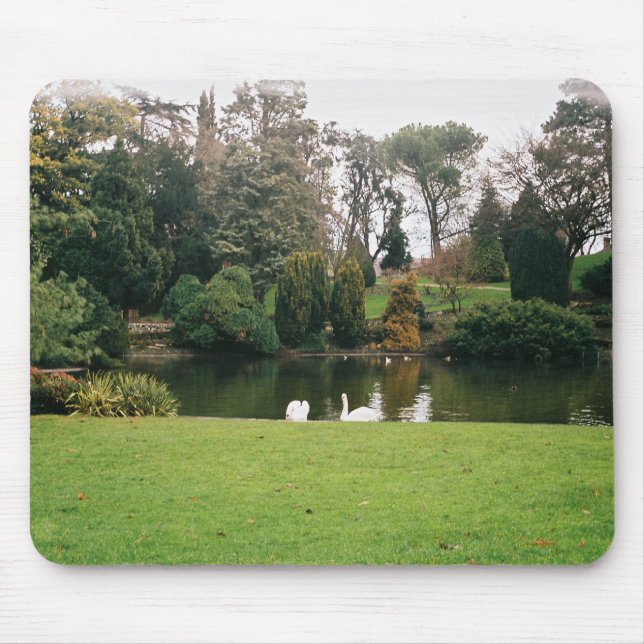 Musmatta med liggande (Framsidan)