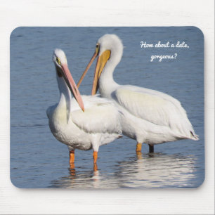 Musmatta med två fina pelicans