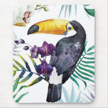 Musmatta - Tropiska fåglar