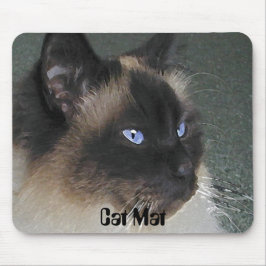 musmattan "Katt Mat" Musmatta