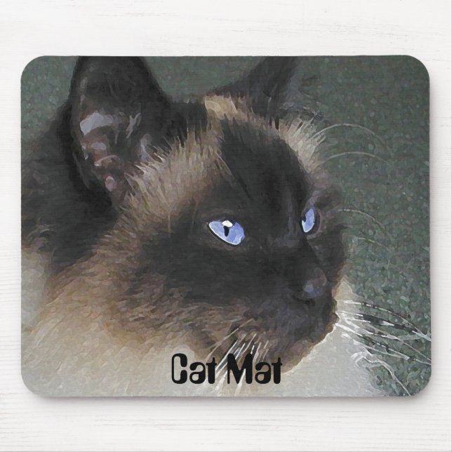 musmattan "Katt Mat" Musmatta (Framsidan)