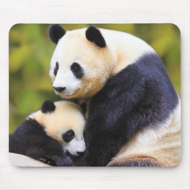 Musmattan Mycket Cute Panda Musmatta (Framsidan)