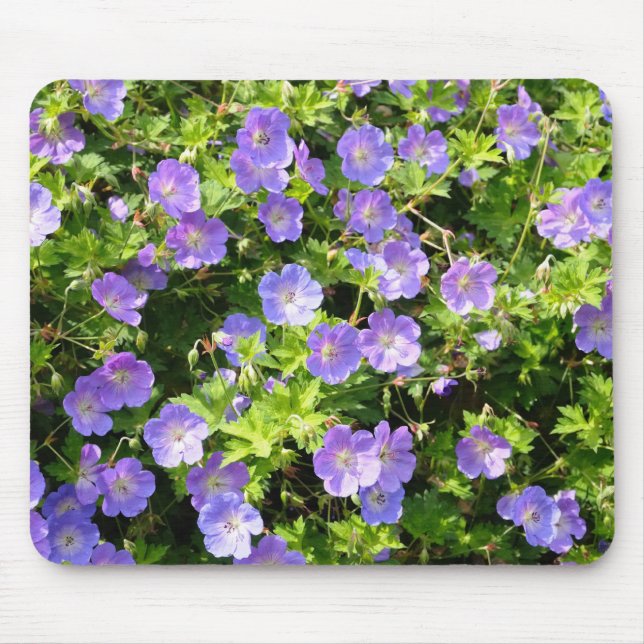 musmattor med blå blommor (Framsidan)