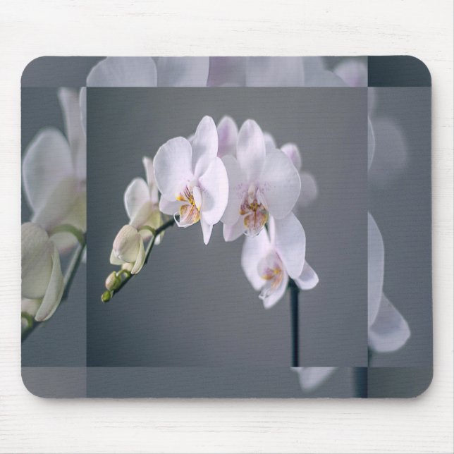 Musmattor med vita blommor (Framsidan)
