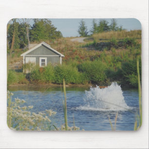 Musmussla för matarfoto Pond Fontän Musmatta