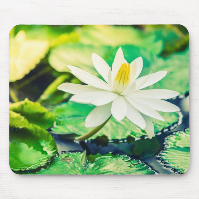 Muspets Musmatta (Framsidan)