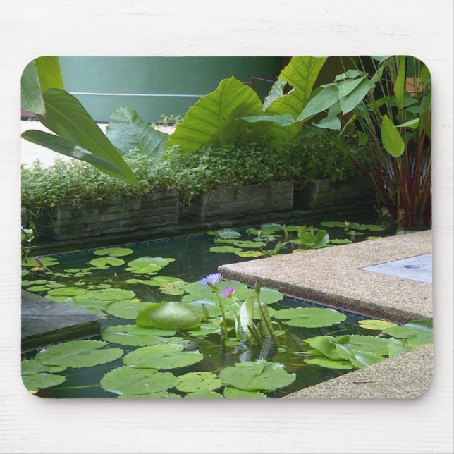 Muspets Musmatta (Framsidan)