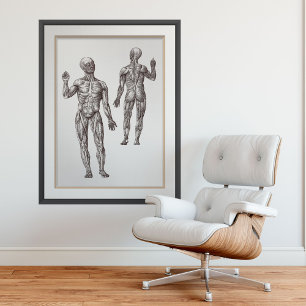 Musse Manar Sporter Medicine Human Anatomy Poster