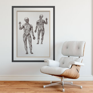 Musse Manar Sporter Medicine Human Anatomy Poster