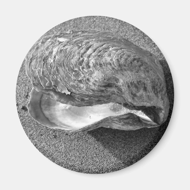 Mussel Seashell Sand Beach Magnet (Framsidan)