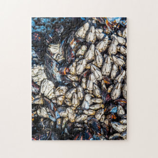 Musselyngel och gooseneck barnacles - Tofino, BC. Pussel