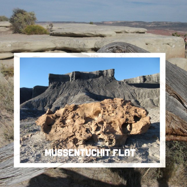 Mussentuchit Flat Sten, Emery County, Utah Vykort (Skapare uppladdad)
