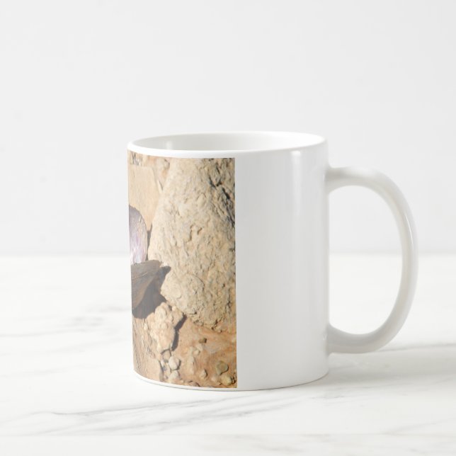 Musslasnäcka Kaffemugg (Höger)