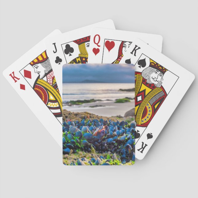 Musslor Casinokort (Baksidan)