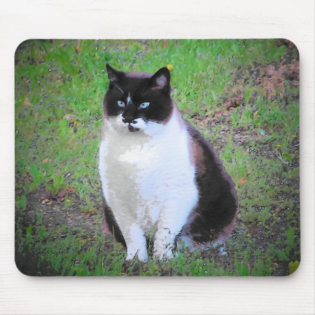 MUSTACHE CAT ÄR VATCHANDE MUSMATTA (Framsidan)