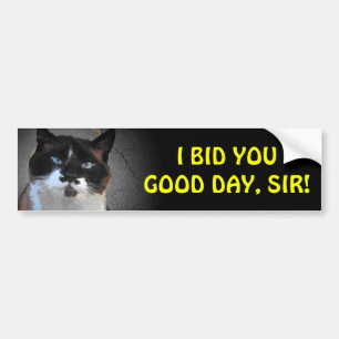 Mustache Cat Bids You Bra Day, Herr Bildekal