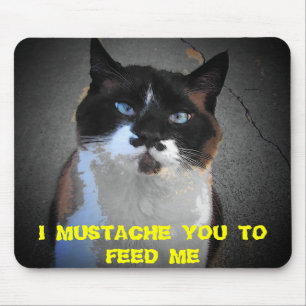 MUSTACHE DU CAT ÄR HUNGRIG MUSMATTA