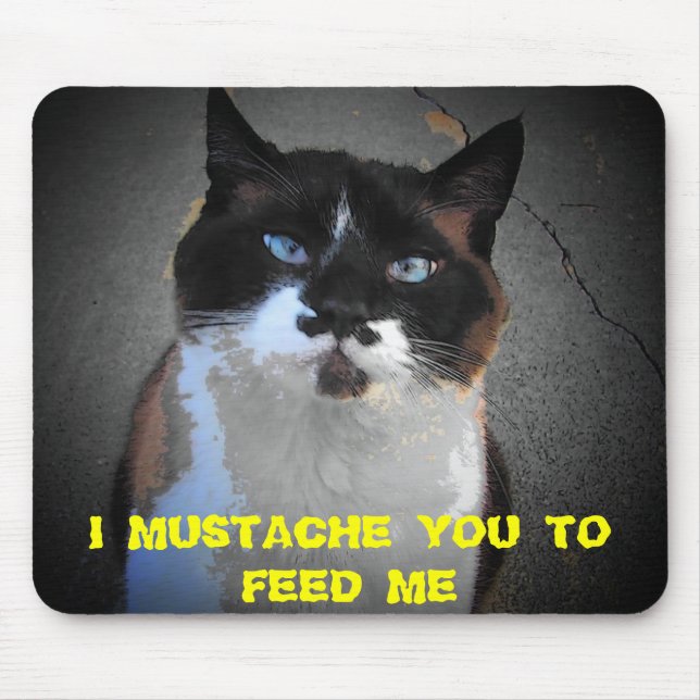 MUSTACHE DU CAT ÄR HUNGRIG MUSMATTA (Framsidan)