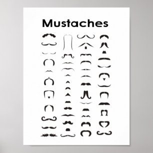 Mustache Stilar Chart Poster Lusnyj Gift