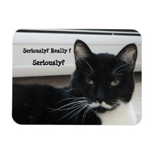 Mustache Tuxedo Cat (allvarligt?) Magnet
