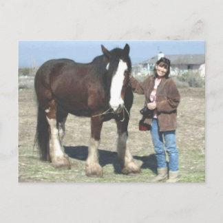 Mustang-Ande vykort