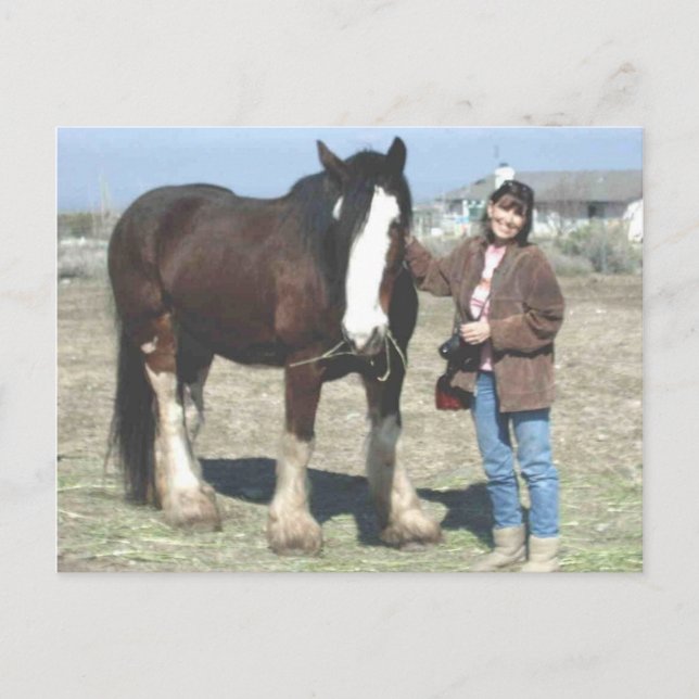 Mustang-Ande vykort (Framsida)