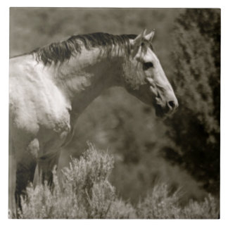 MUSTANG CERAMIC TILE KAKELPLATTA