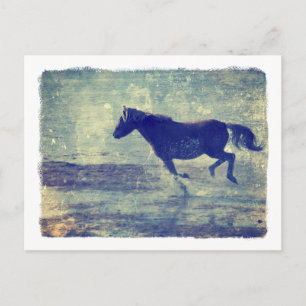 Mustang Gallops på Beach Vykort
