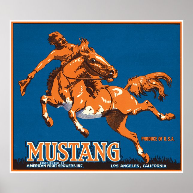 Mustang Horse Cowboy Los Angeles California USA Poster (Framsidan)
