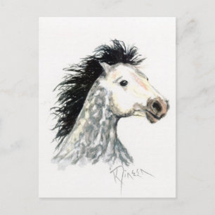 Mustang Horse Postcard Vykort
