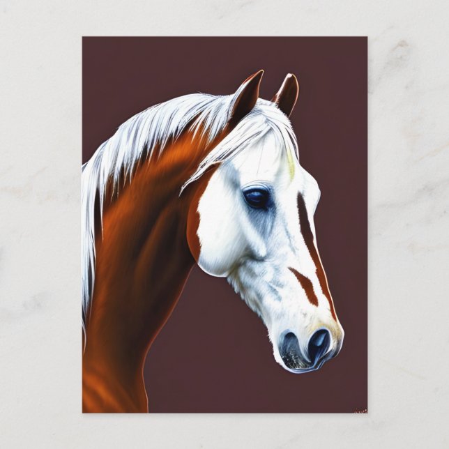 Mustang Horse Postcard Vykort (Framsida)