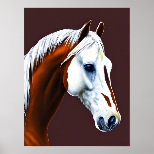 Mustang Horse Poster (Framsidan)