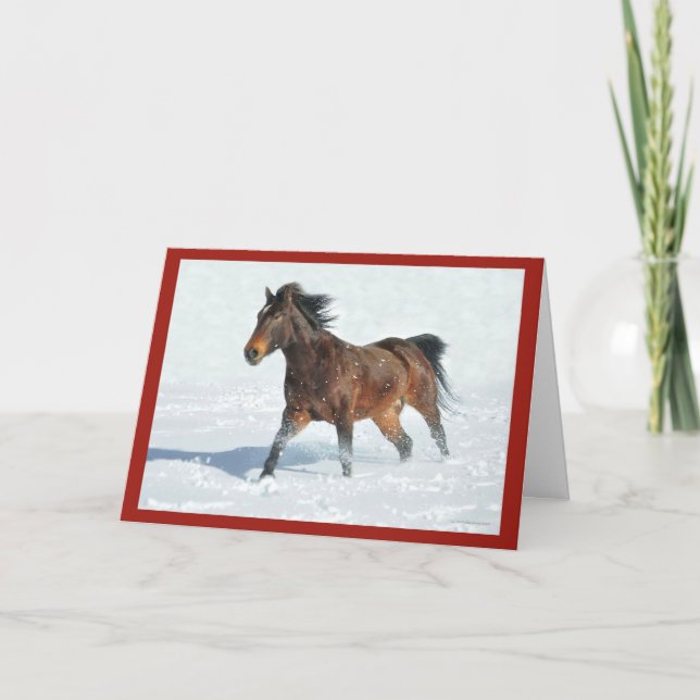 Mustang Horse Running i Snö-julkort Kort (Framsida)