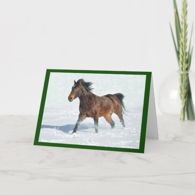 Mustang Horse Running i Snö-julkort Kort (Framsida)