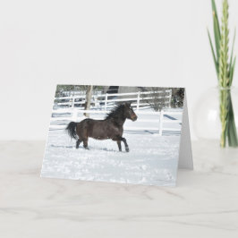 Mustang Horse Running i Snö-julkort Kort