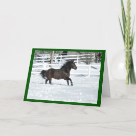 Mustang Horse Running i Snö-julkort Kort